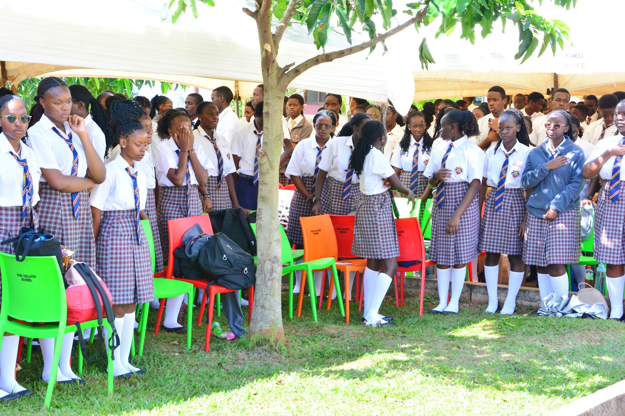 School photo
